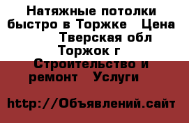 Натяжные потолки быстро в Торжке › Цена ­ 300 - Тверская обл., Торжок г. Строительство и ремонт » Услуги   